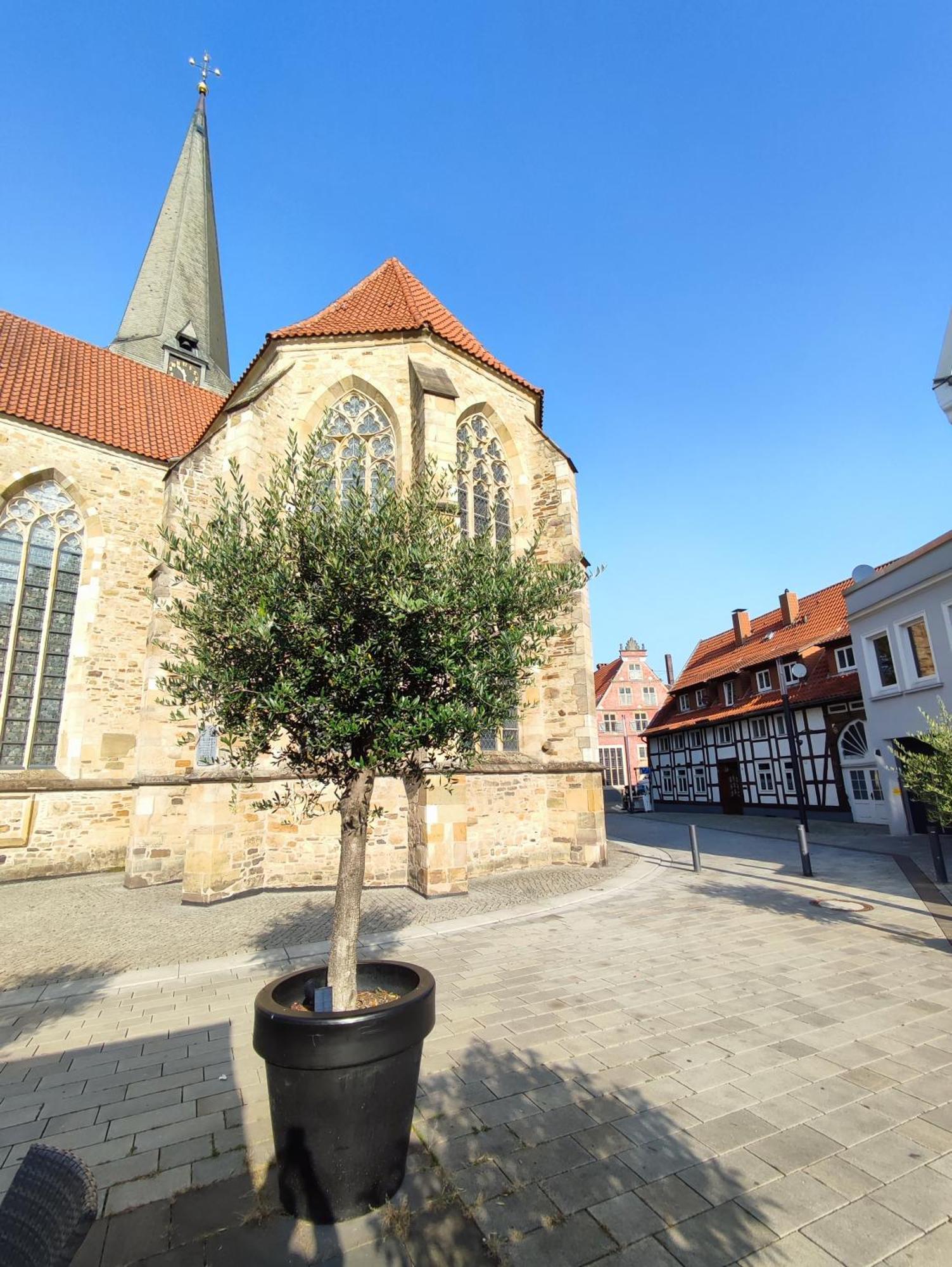 'Bright 1' Innenstadtlage, Ruhige, Schoene, Helle 3Zkb Wlan Herford Eksteriør billede